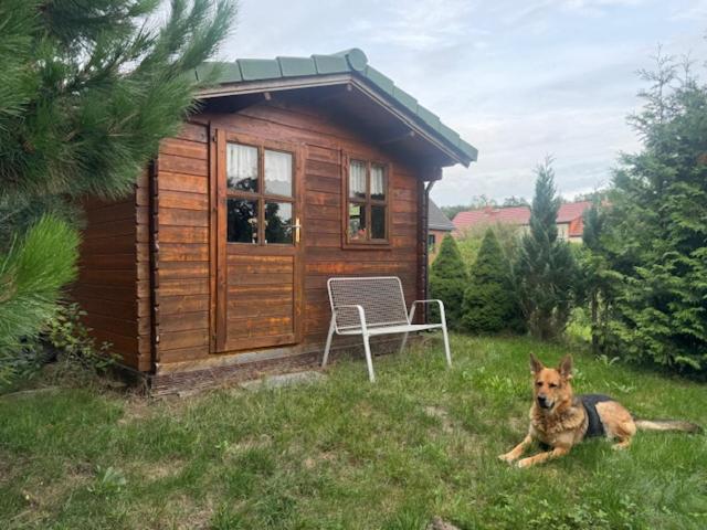 Bärenheim - B&B