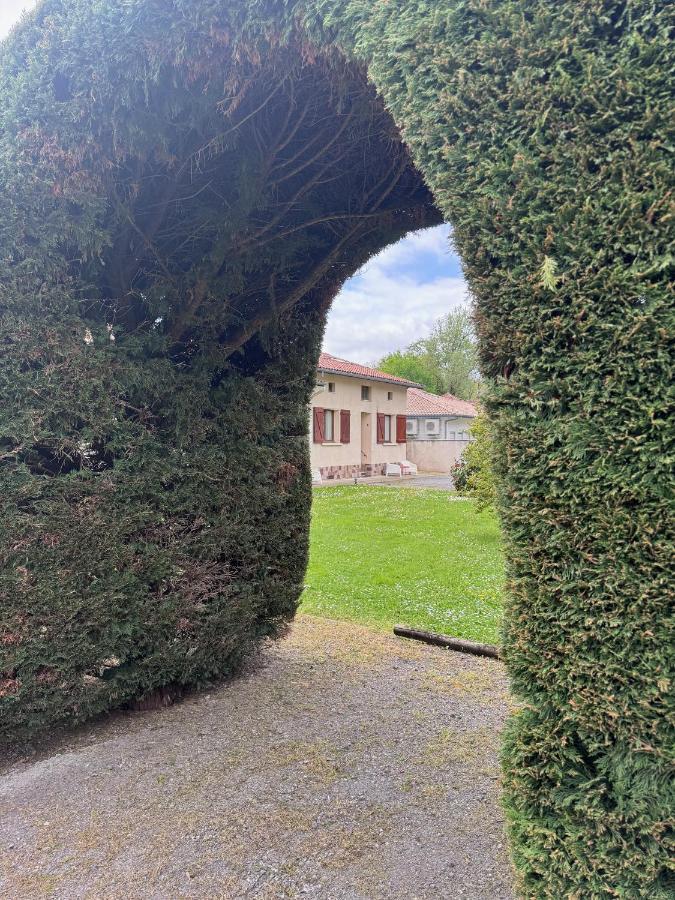 Appartamento con 1 Camera da Letto e Vista Giardino 