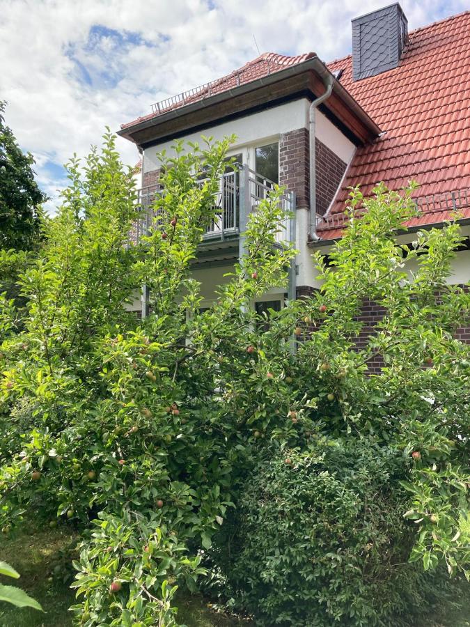 Forsthaus Wegenerskopf 10 Pers Natur & Ruhe - B&B Thale