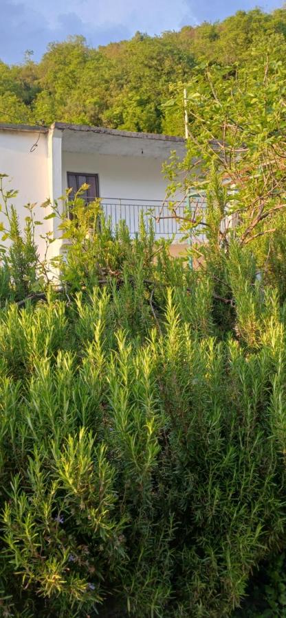 Etno House Mira - B&B Viro