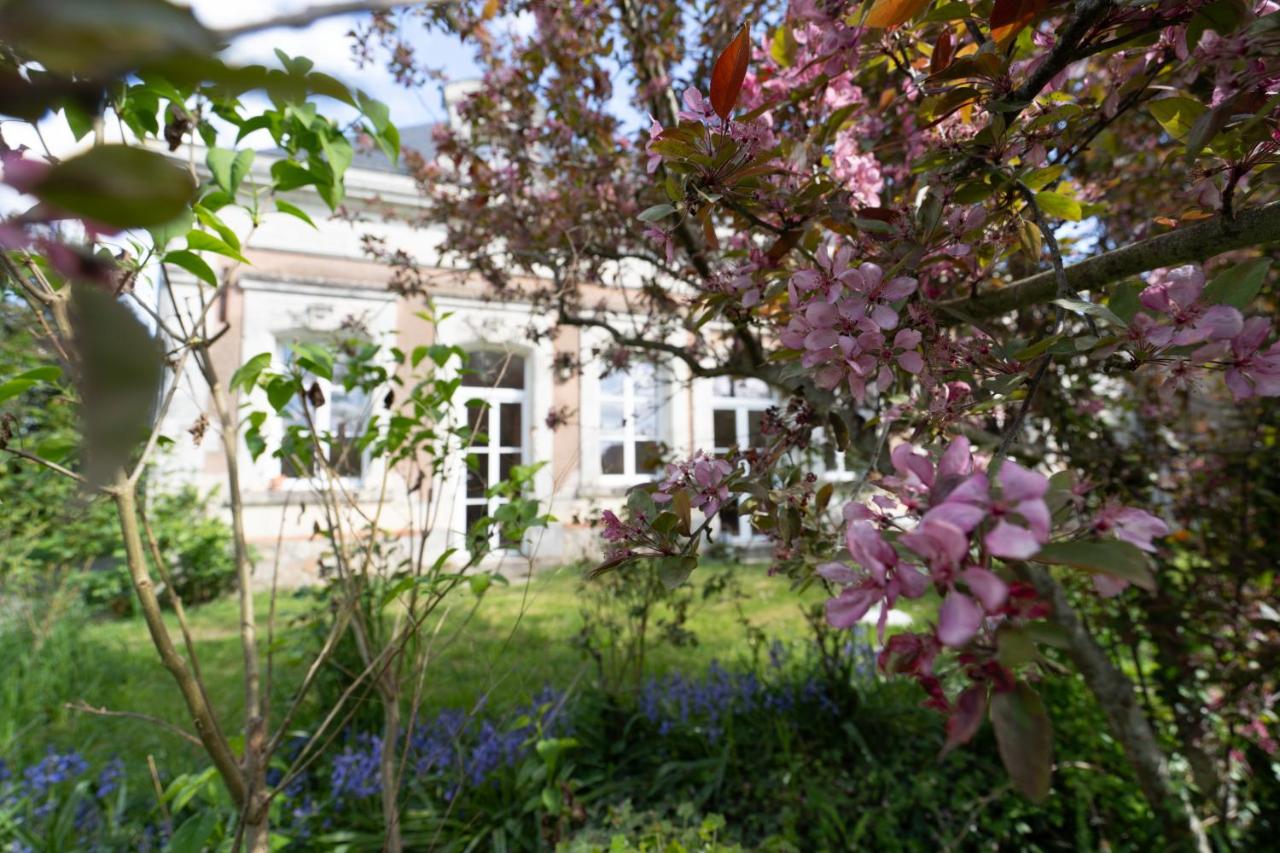 Narcisse Bienvenue - Élégance et Raffinement - B&B