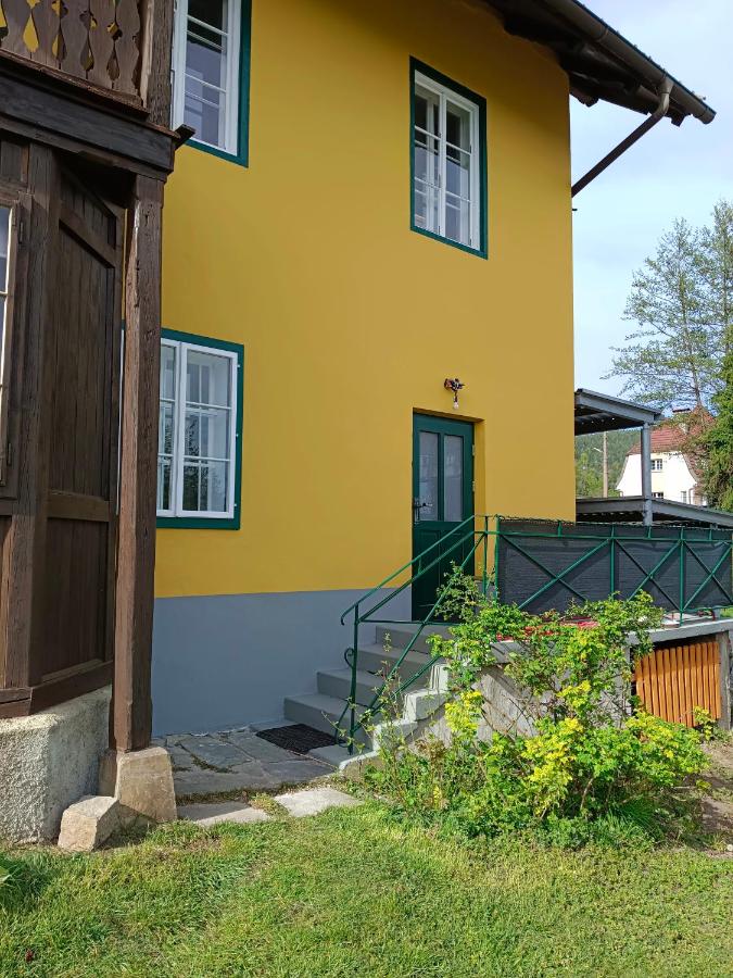 Apartment - Erdgeschoss