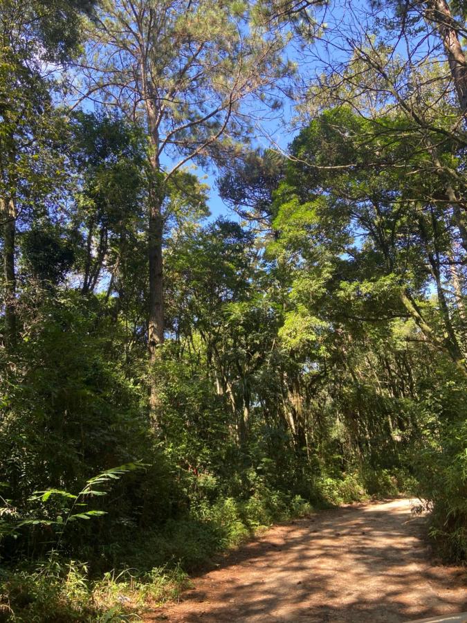 Abraço da Natureza - B&B
