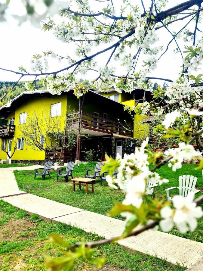 Vila Giulia Voineasa - B&B