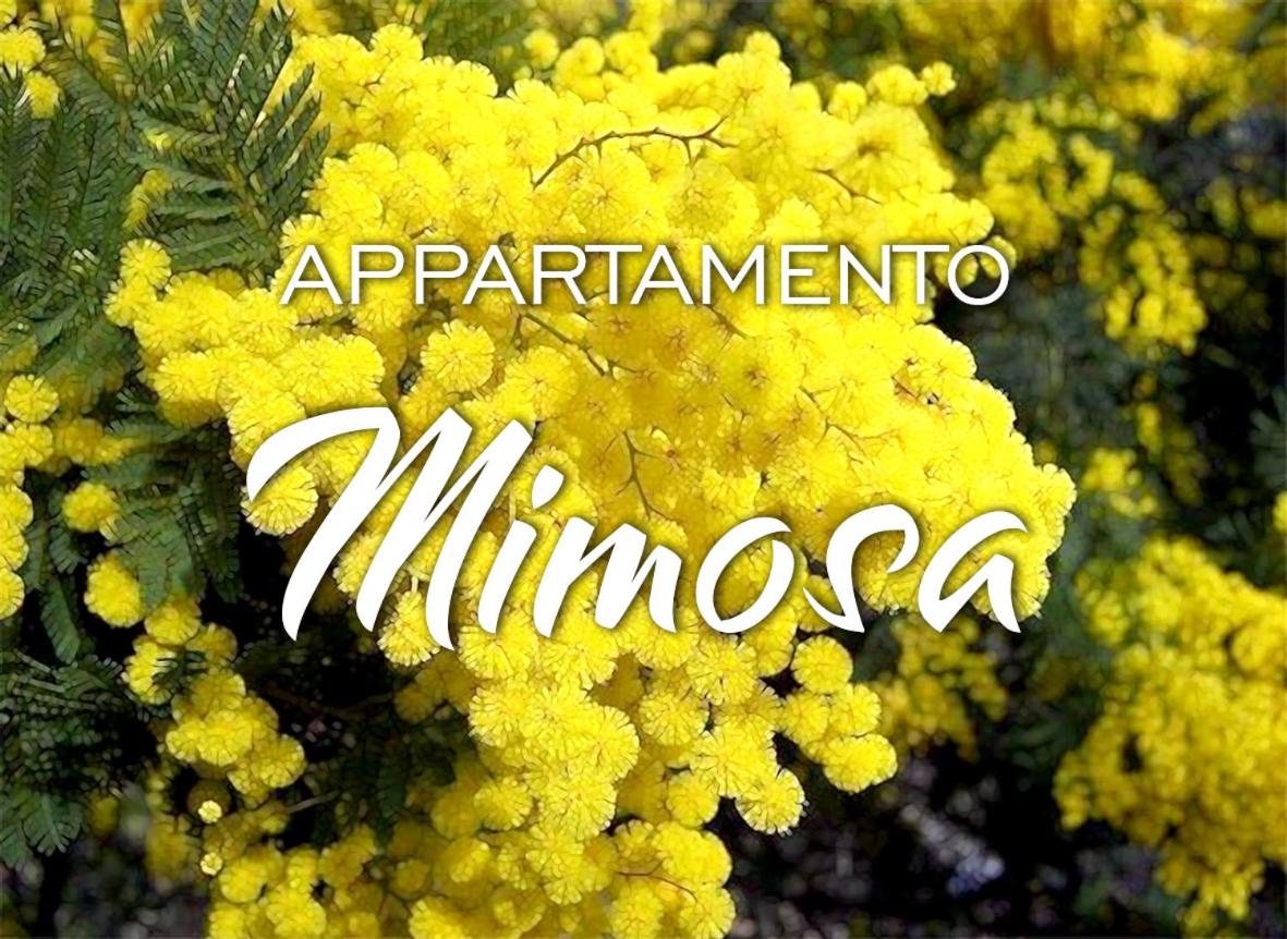 Apartment mit 2 Schlafzimmern und Terrasse