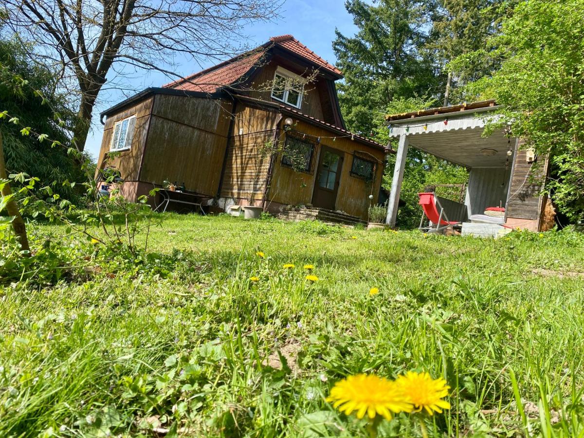 Bienenhaus Van Sonnensee - B&B