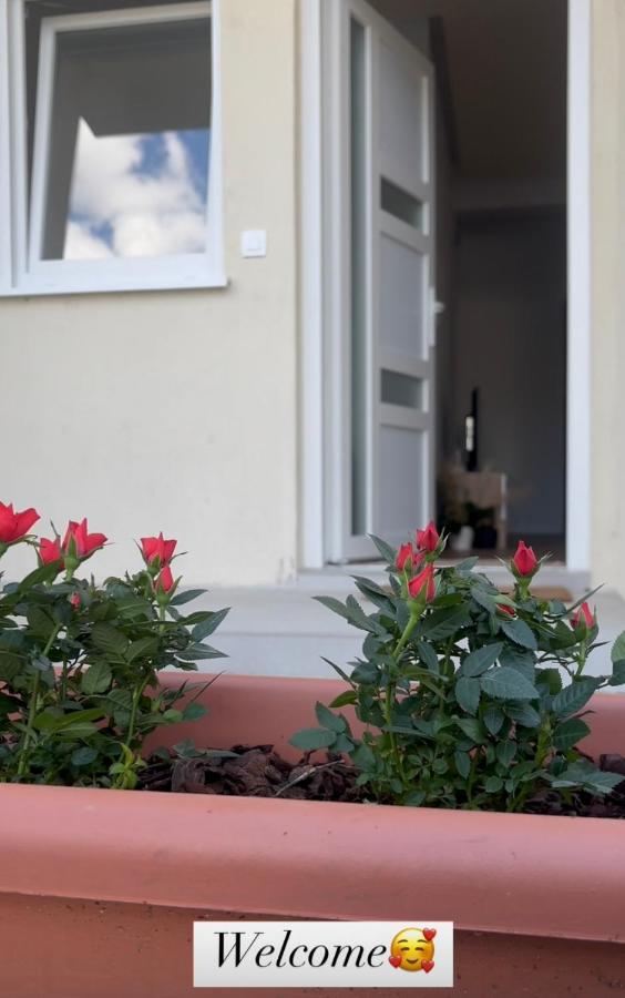 Residency appartment - Ferienwohnung