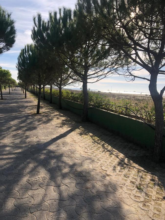 Pines House - B&B Durazzo