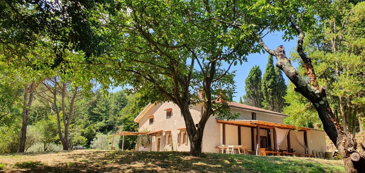 Stirpe nel Bosco - Allocco - Ferienwohnung