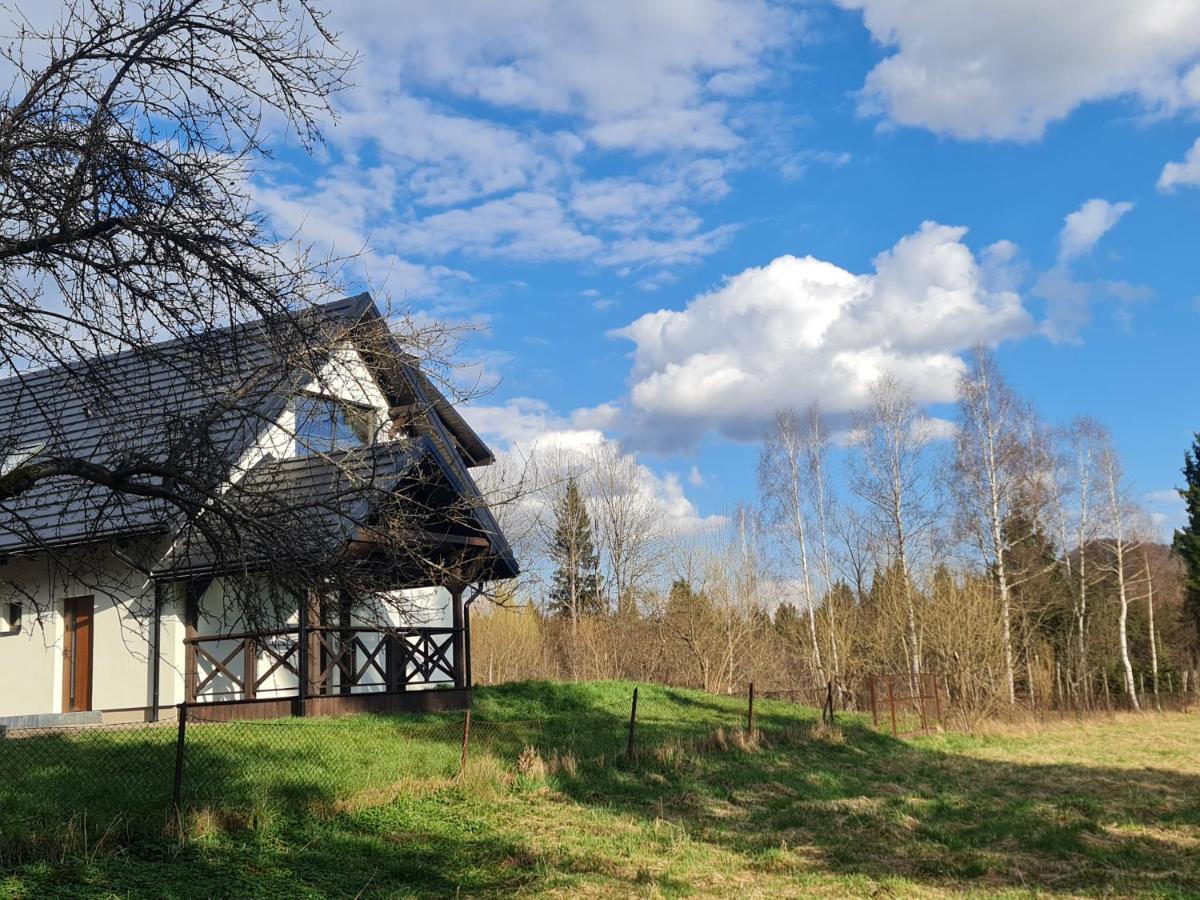 Dwerniczek 7 apartamenty - Ferienwohnung Dwerniczek