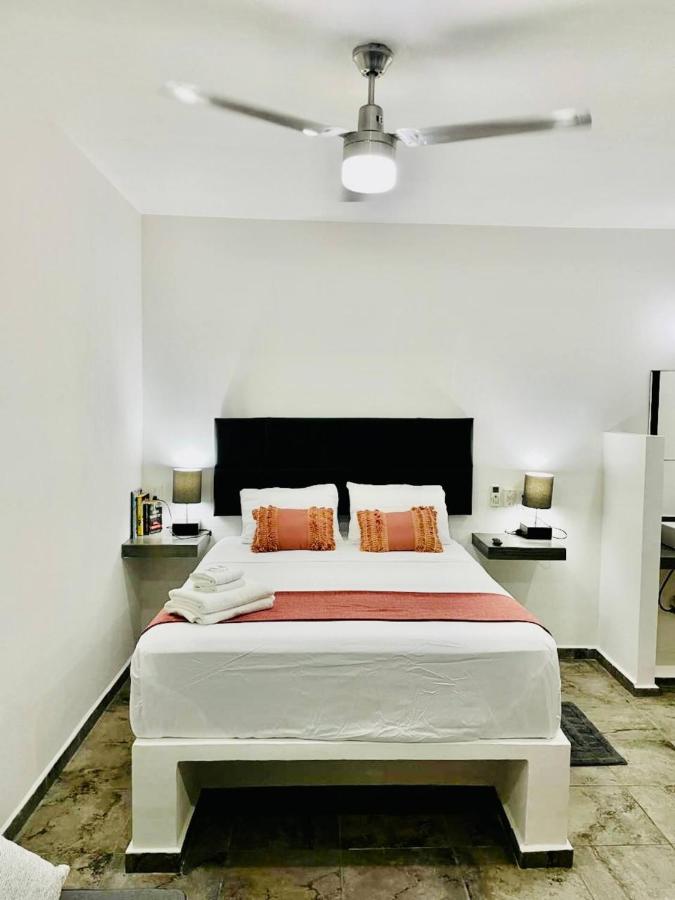 Lavish Studio Wpatio #1 Isla Mujeres Downtown - B&B Isla Mujeres