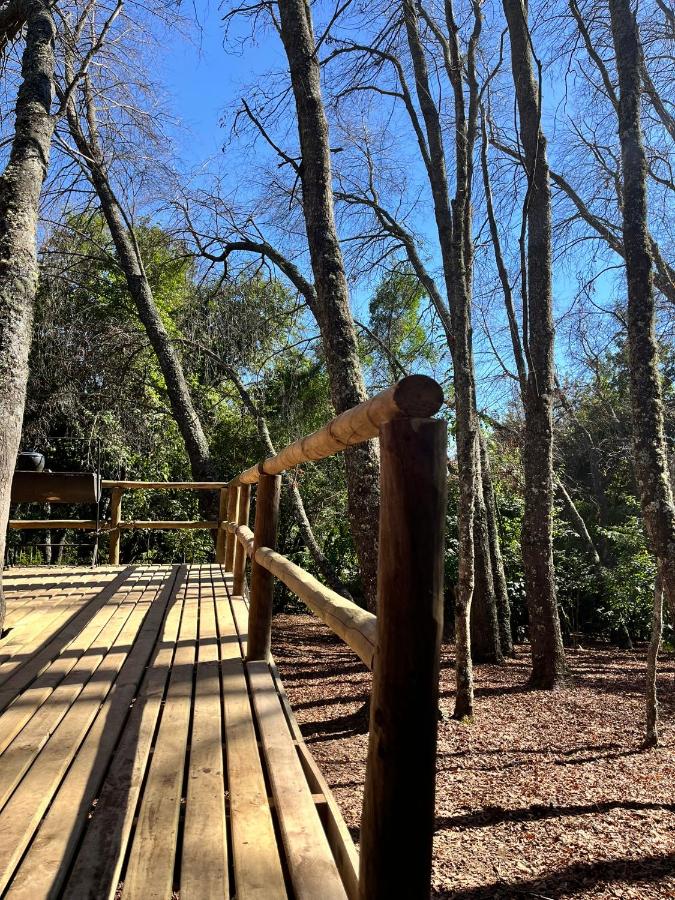 La Escondida de Vilches - B&B
