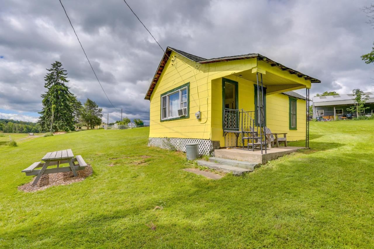 Historic Honesdale Cabin on Farm and Animal Rescue! - B&B