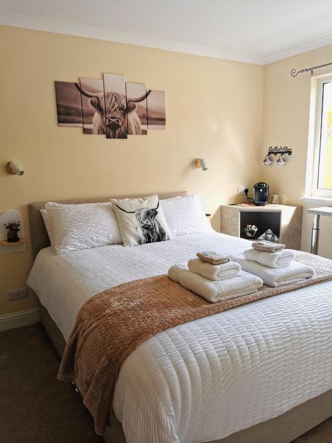 Standard King Room