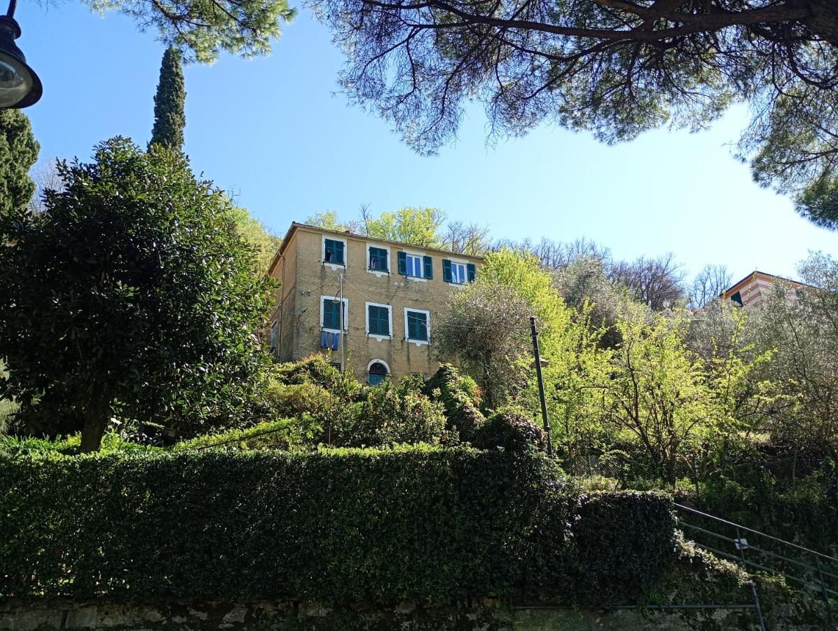 Golfo Paradiso - Ferienwohnung