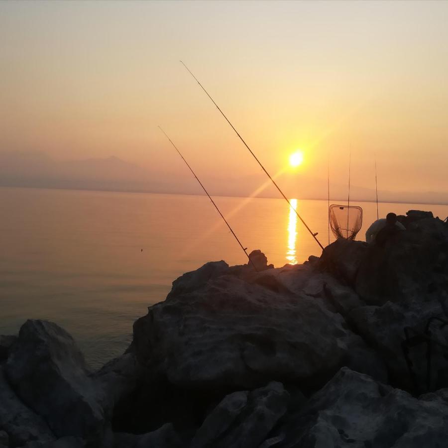 Apartments Skadar Lake - Chambres d’hôtes Vranjina