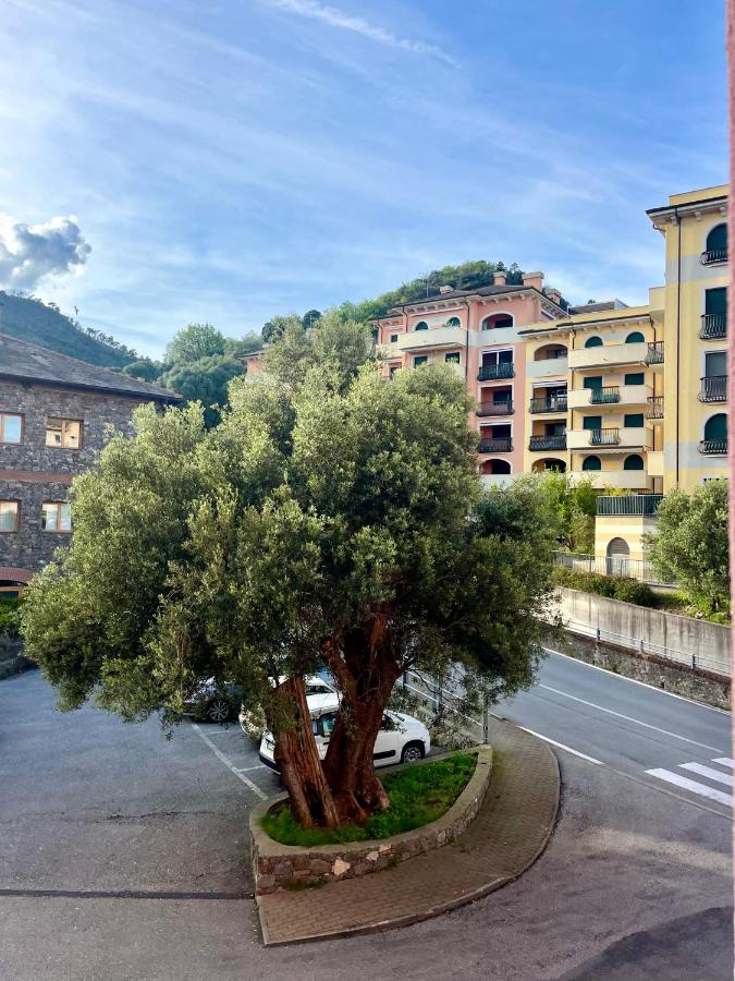 Appartamento con 2 Camere da Letto