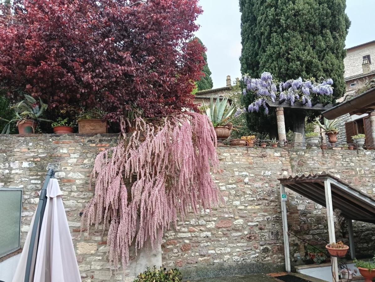 Appartamenti Santa Chiara - B&B Assisi