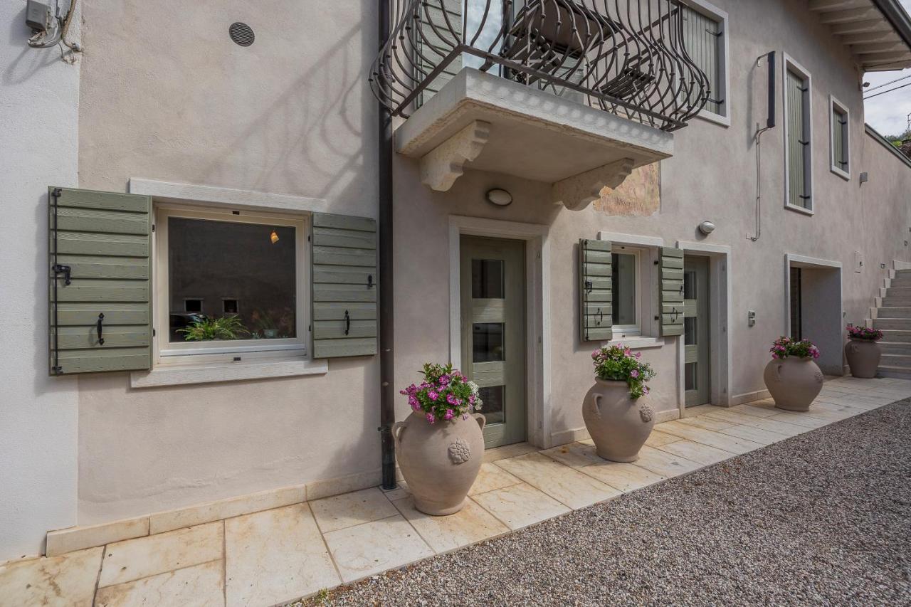 Dimora Valpolicella tra Ulivi e Vigneti - Bed and Breakfast
