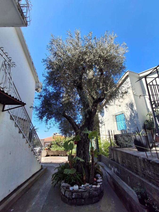 Sveti Stefan Family Apartments - Bed and Breakfast Budva