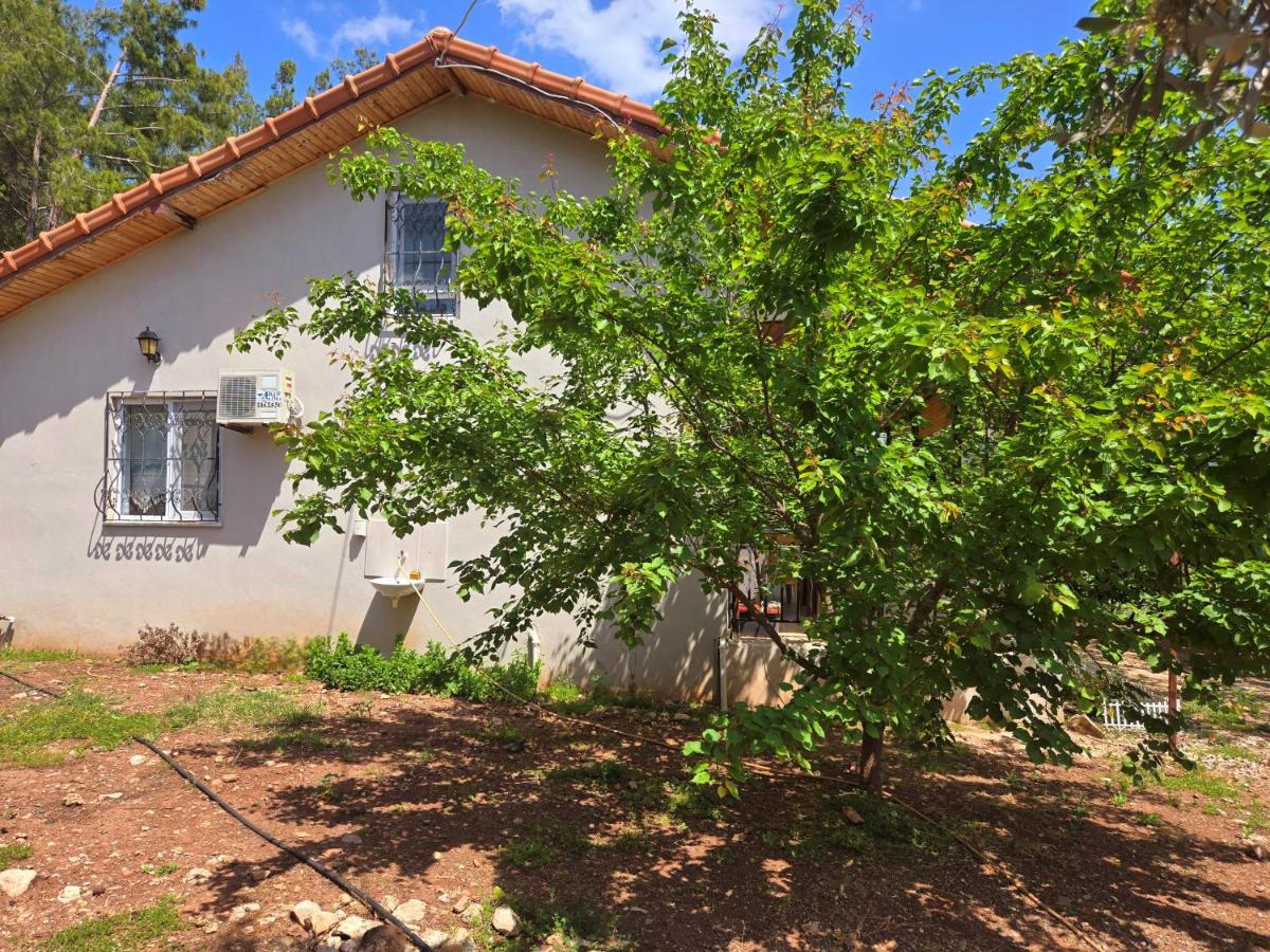 Olympos Orange Village Nature, Sea and You - B&B