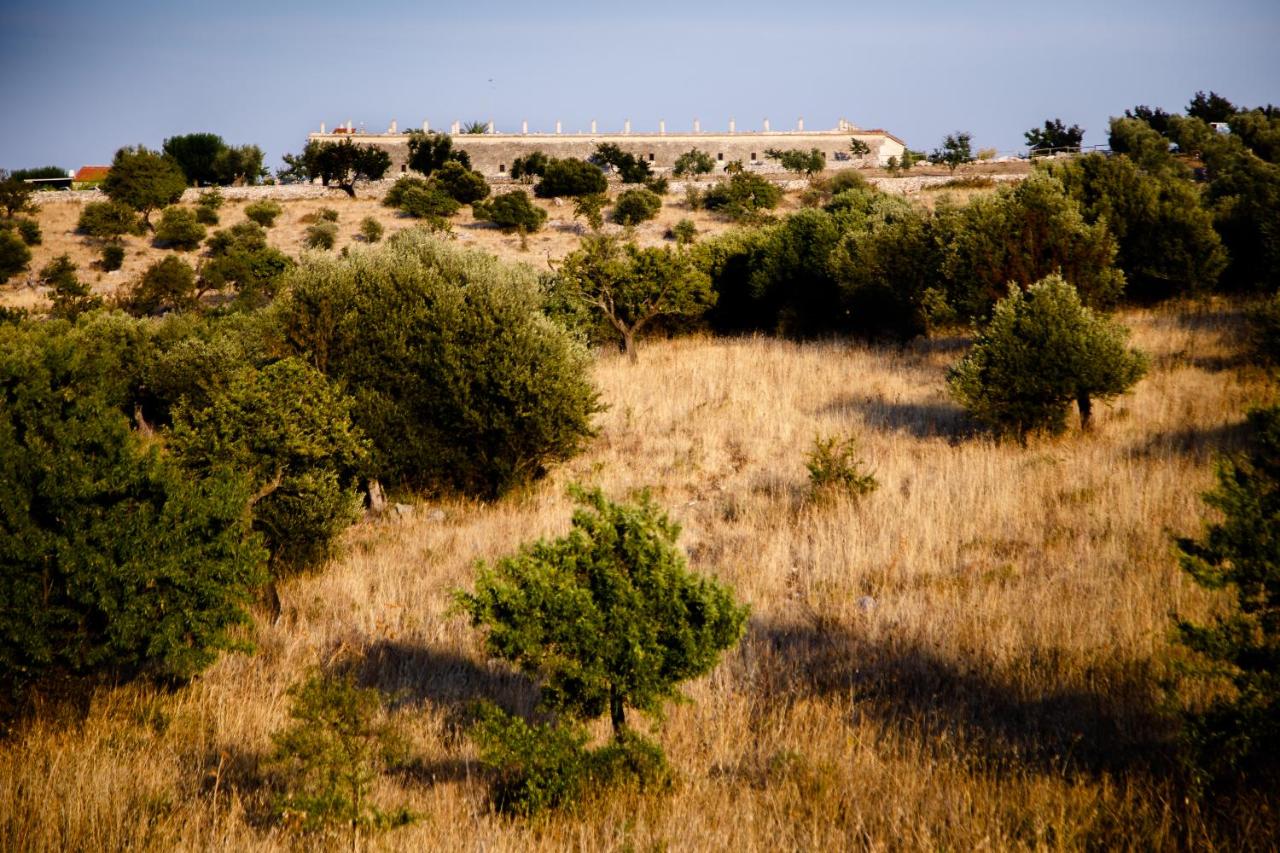 Lama Di Luna Biomasseria - B&B Montegrosso