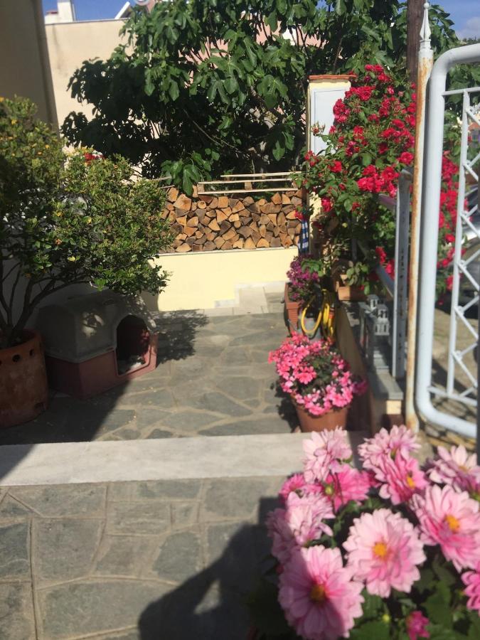 AEGEAN view - Ferienwohnung Kavala