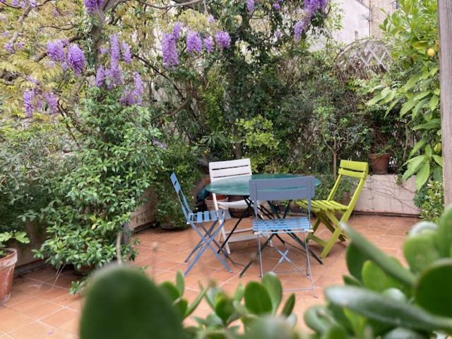 Large flat in Montmartre with terrace - B&B Paris