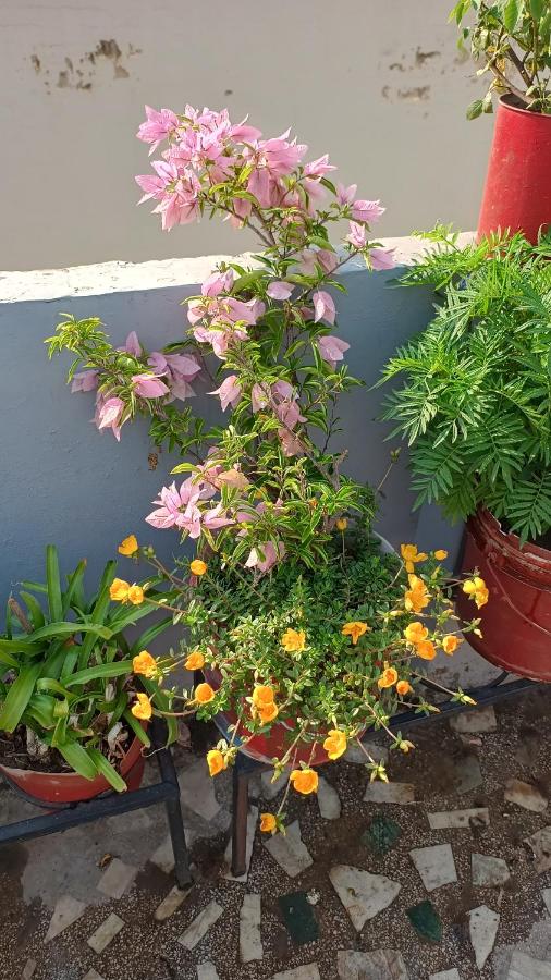 Shri Devbhoomi homestay - Chambres d'hôtes Haridwar