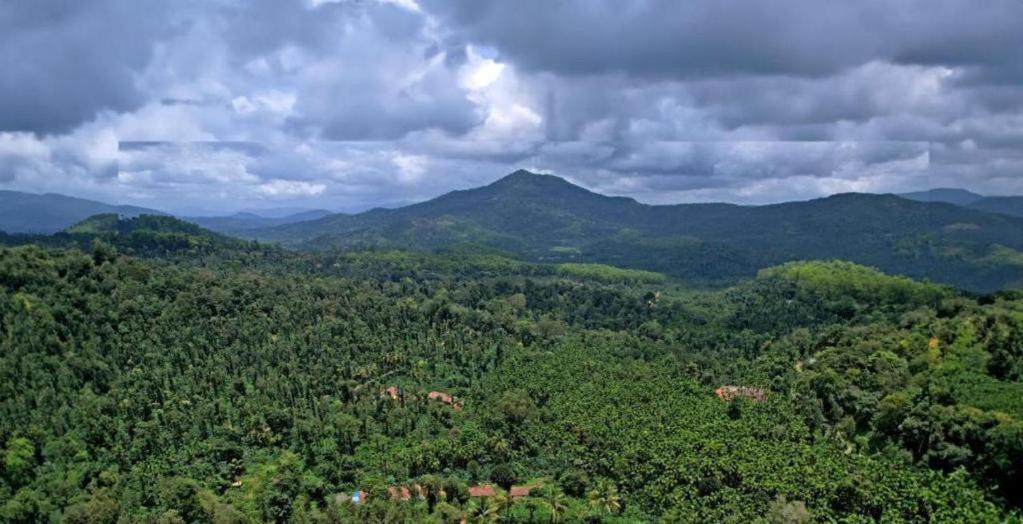 Adis Home - With Beautiful Waterfalls - three min walk - B&B Kalasa