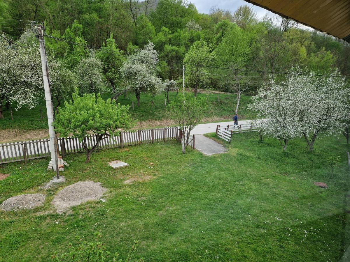 Raj kraj Drine - B&B