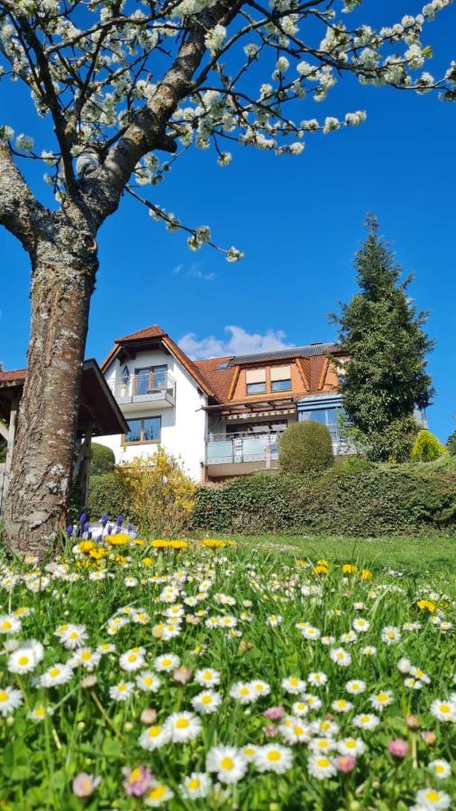Pension Höchemer - B&B