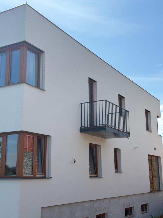 FamilyVilla, new 4 Luxury Big Apartments, parking - Chambres d’hôtes Prague