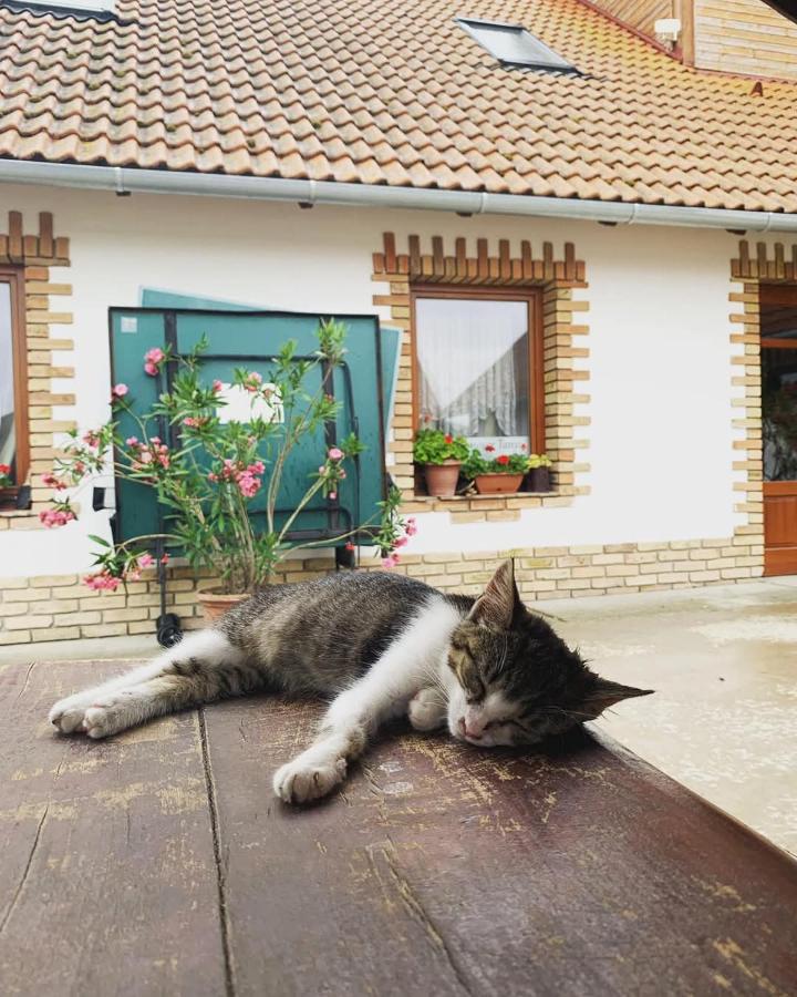 István lovas tanya - B&B
