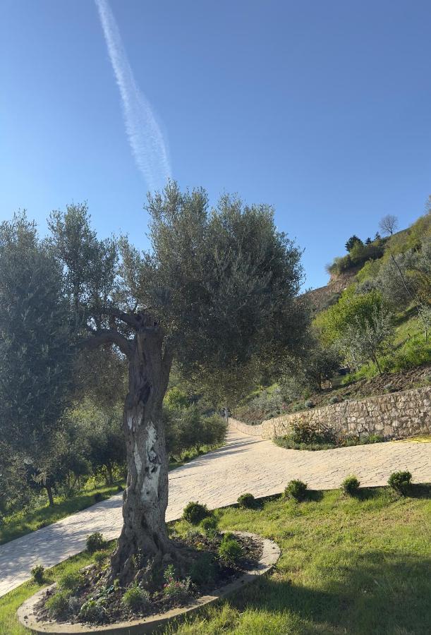 Rodon Blue Villa - B&B Shetaj