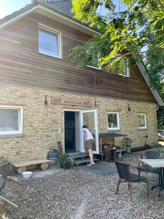 Ferienwohnung auf der Farm mit Café an der Schlei - B&B Fahrdorf