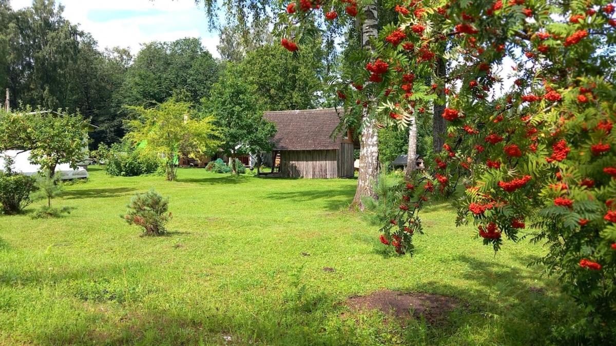 Oravapesa B & B & saun - Chambres d’hôtes Kose