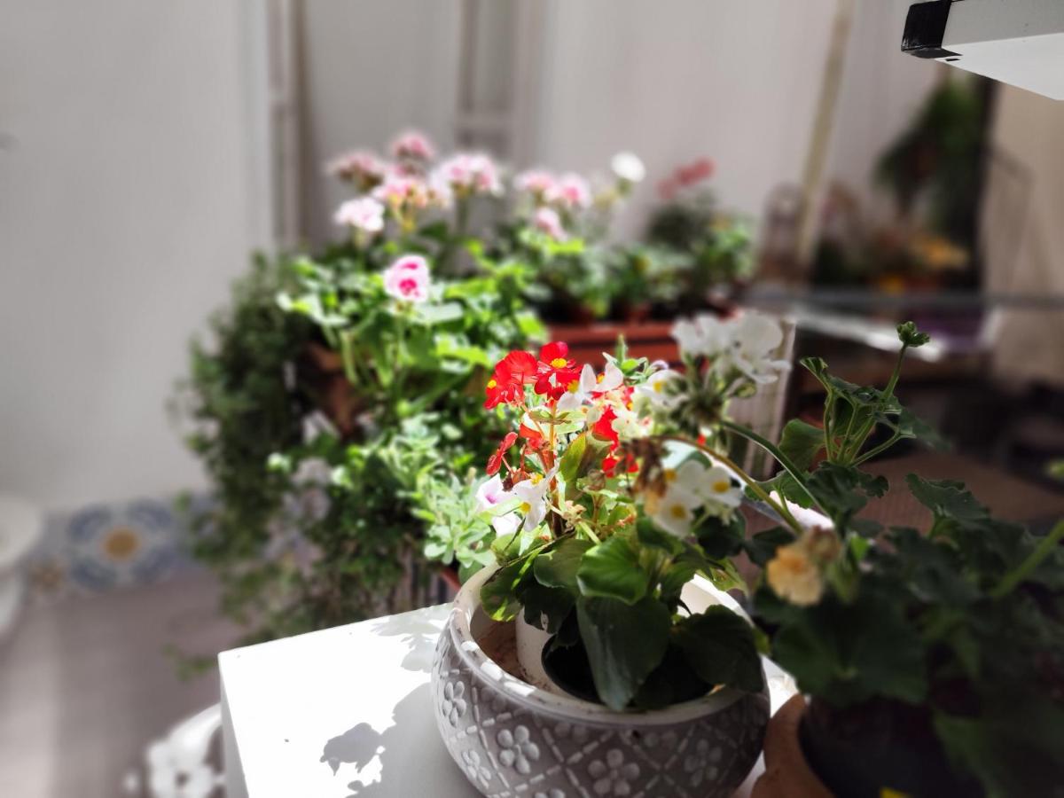 ciclopi - B&B Palermo