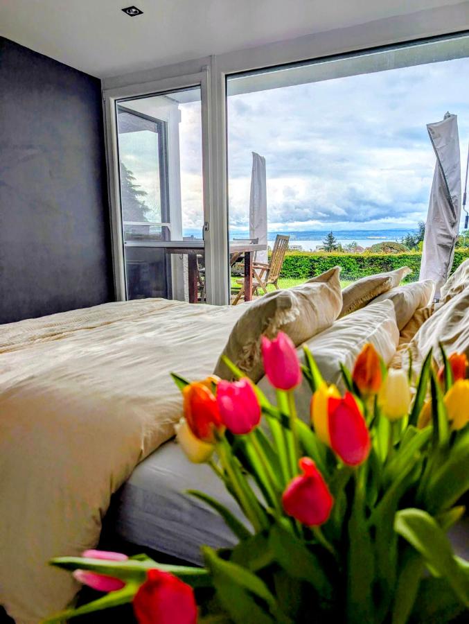 Appartement 1 Chambre