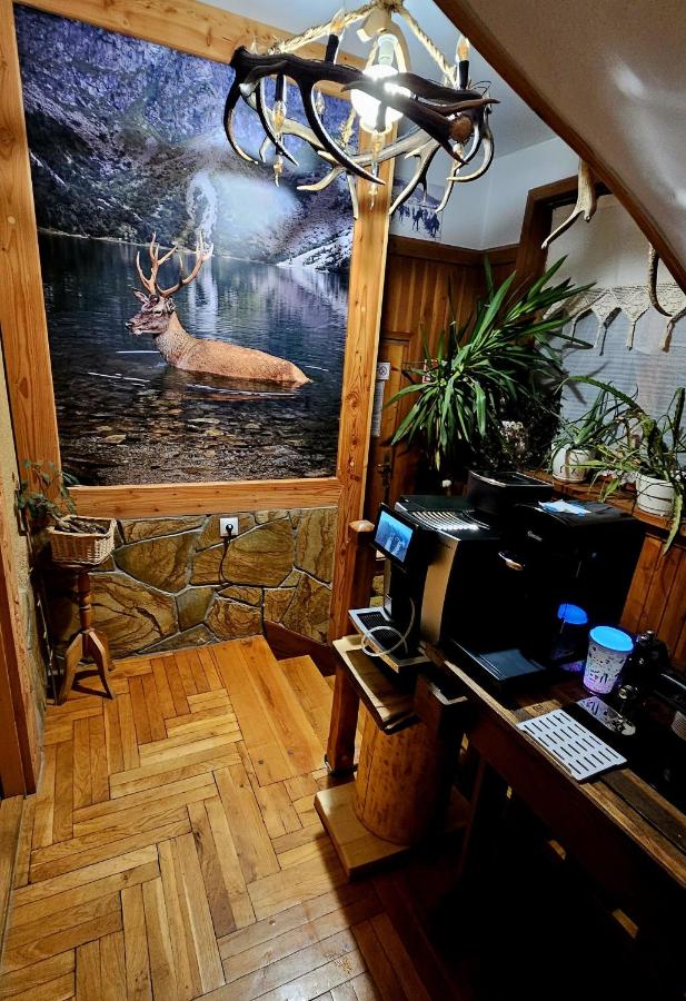 Apartament Rykowisko - B&B Zakopane