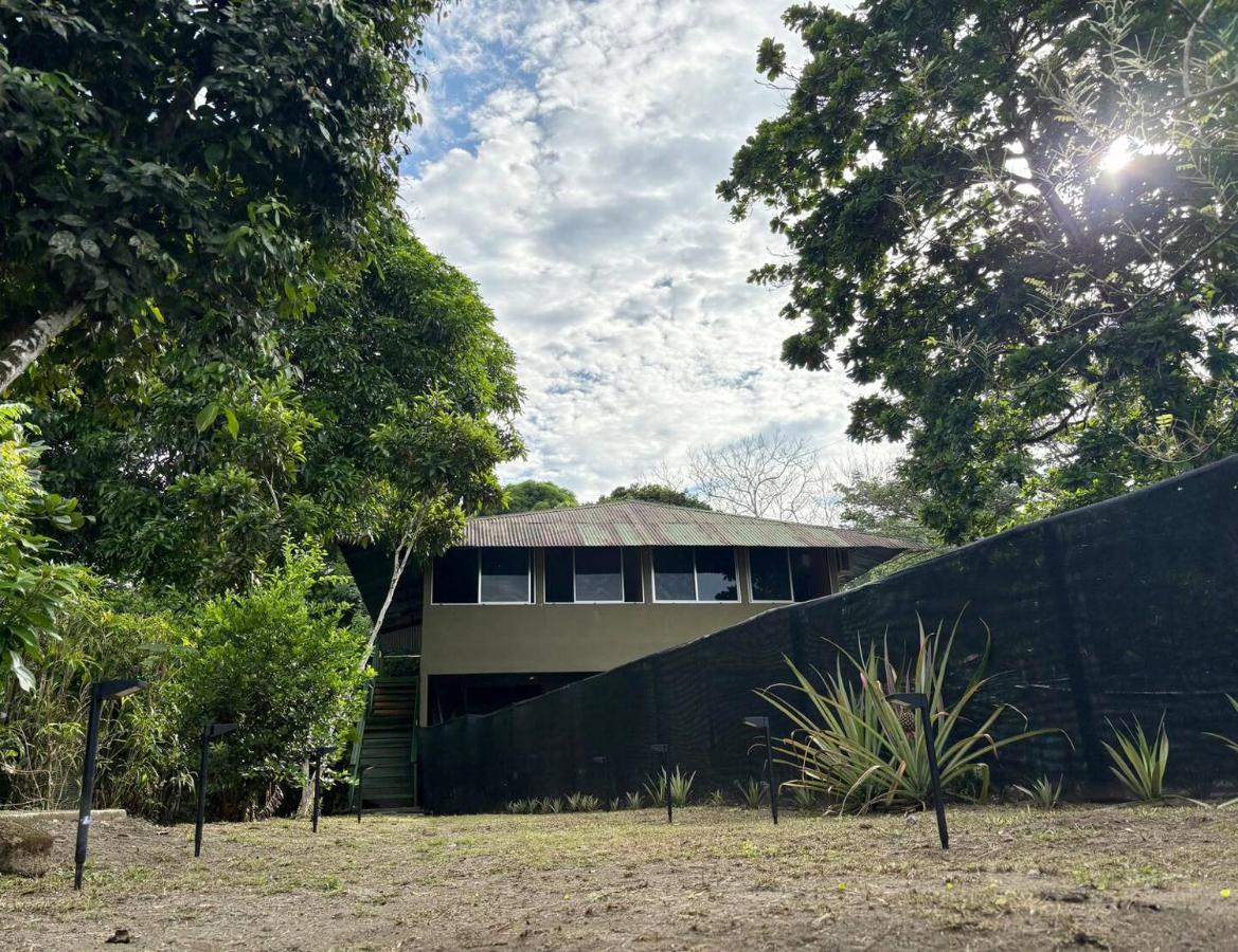Peregrine Nest Puerto Jimenez - Bed and Breakfast