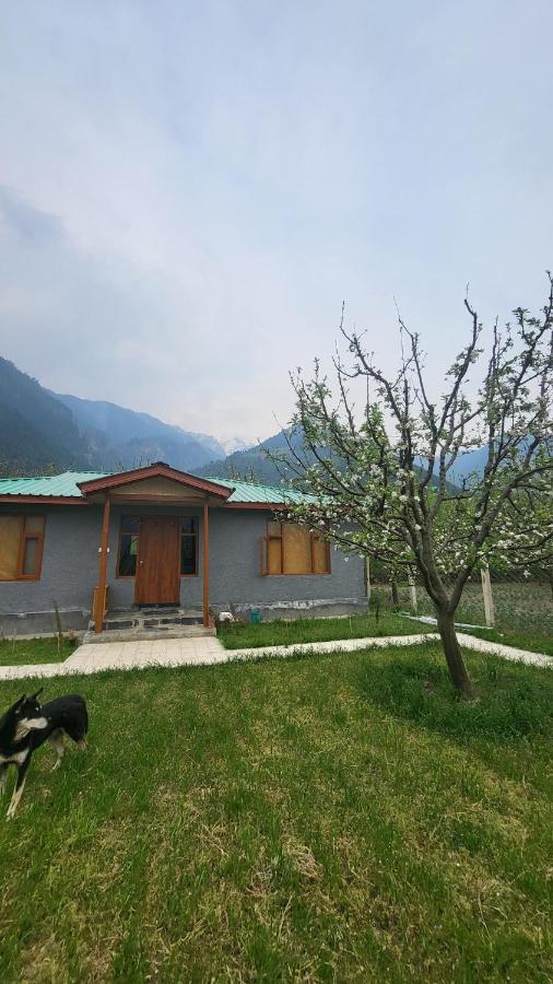 Naggar Studio- 3BHK Homestay by Homeyhuts - Chambres d’hôtes Nagar