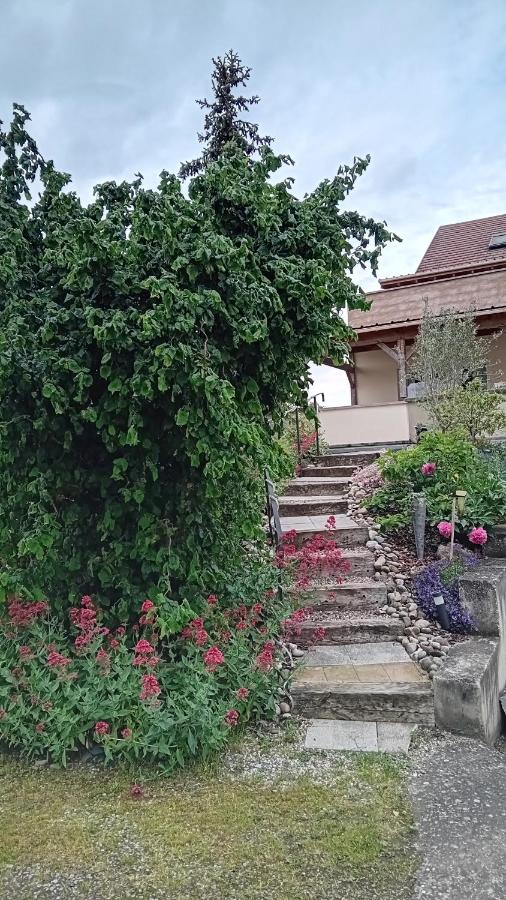 le loft de Nana - B&B Osthouse