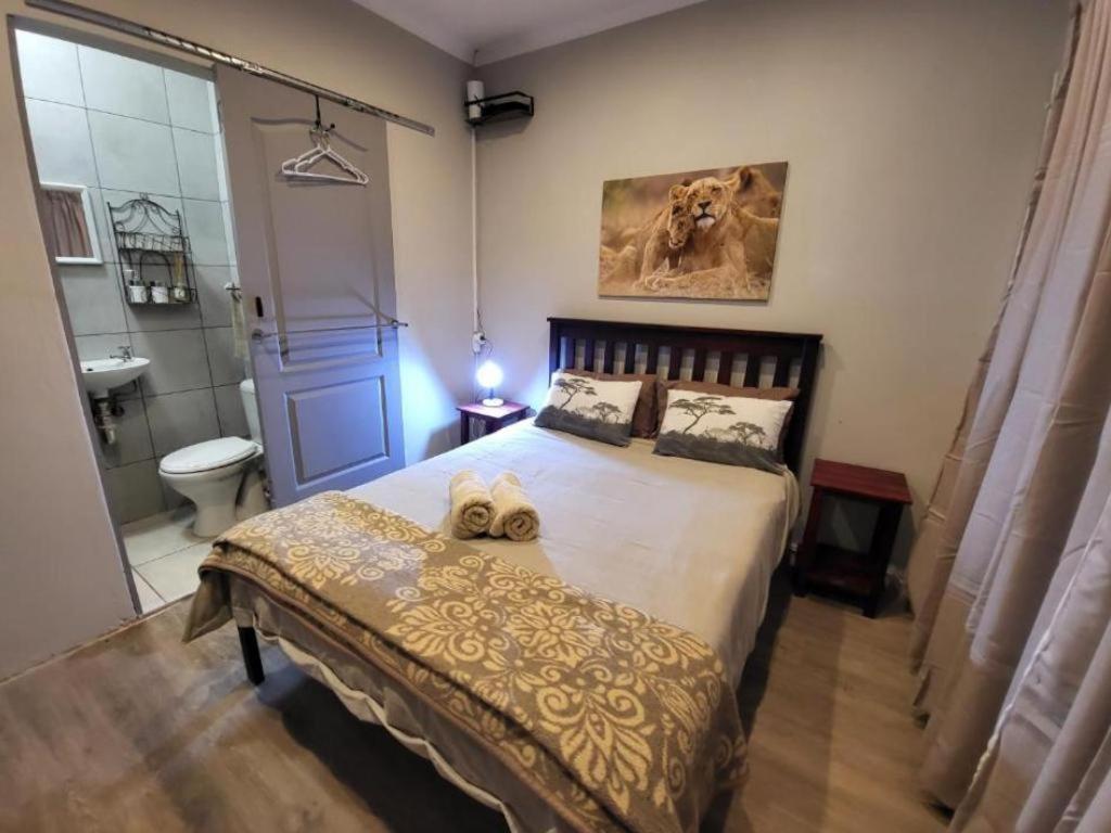 Estudio Estándar