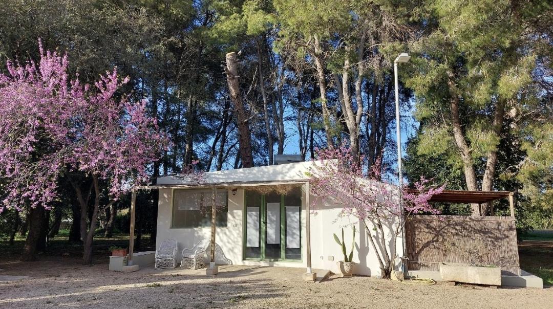 Studio with Garden View