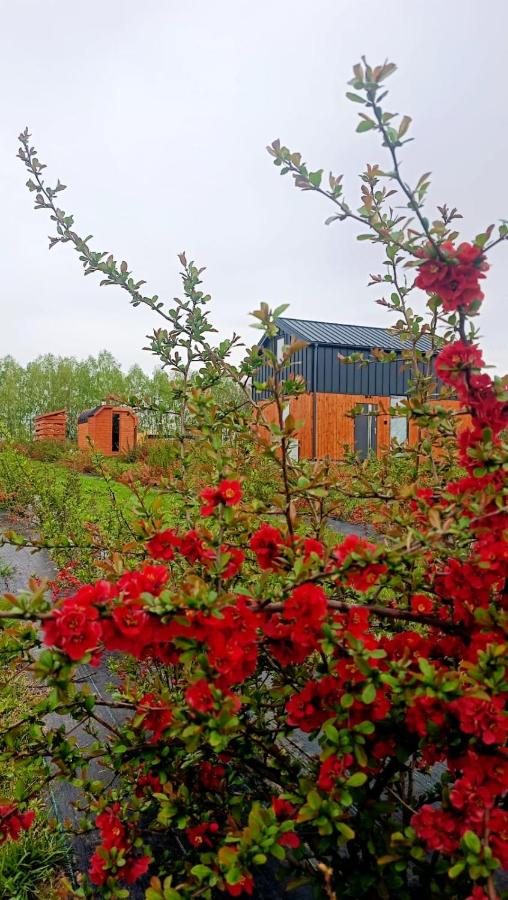 Pigwowcowe Zacisze - B&B