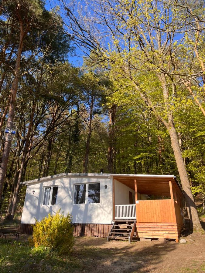 Domek nad jeziorem Lubkowo - B&B
