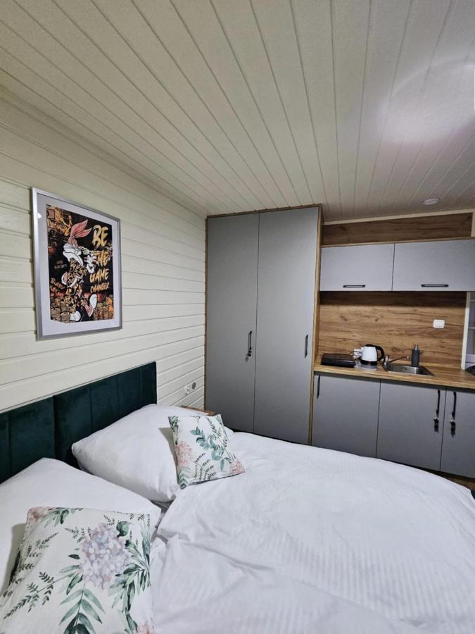 Appartement 1 Chambre