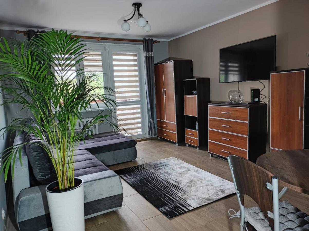 Apartament Raven