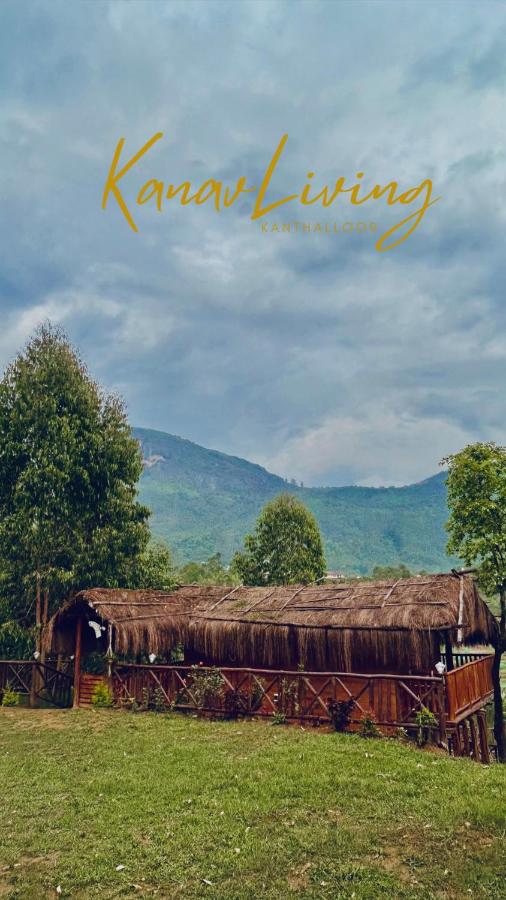 Kanav Living - Wooden Cottage - B&B